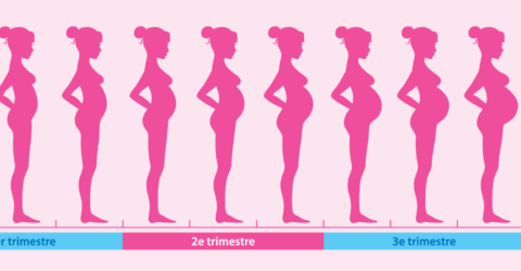 Le suivi de grossesse - suivi-de-grossesse-le-regard-d-anne