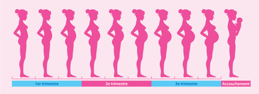 Le suivi de grossesse - suivi-de-grossesse-le-regard-d-anne
